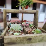 Casa Dos Caseiros N2 Horská chata Vila Nova de Poiares