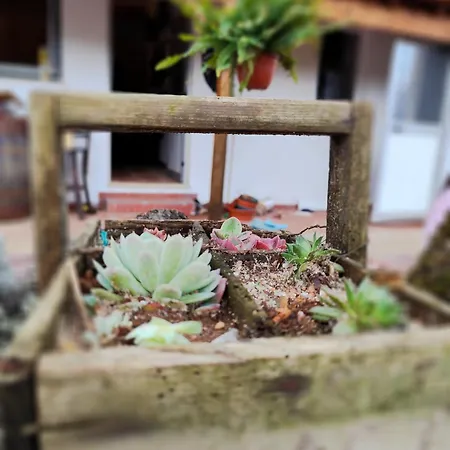 Casa Dos Caseiros N2 Horská chata Vila Nova de Poiares