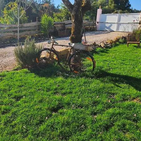 Casa Dos Caseiros N2 * Vila Nova de Poiares