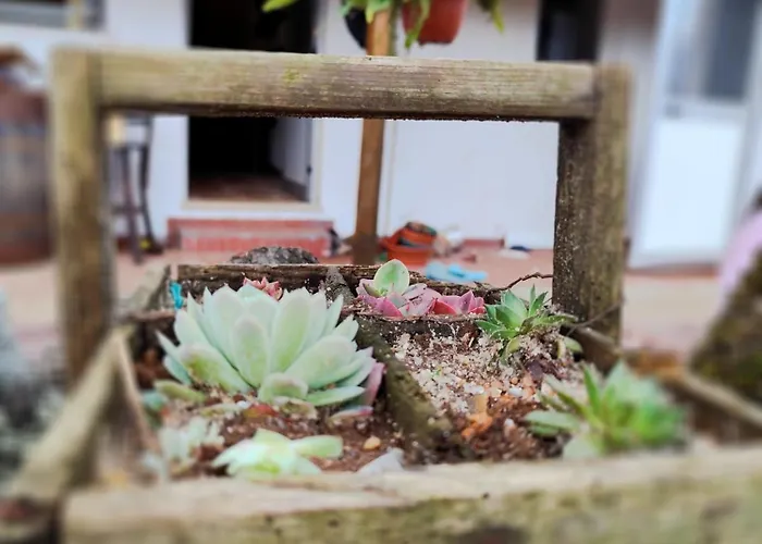 Casa Dos Caseiros N2 Шале Вила-Нова-ди-Пояриш